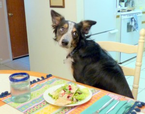 I was just watching it for you.