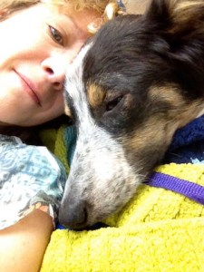 We're afraid we'll never be safe.