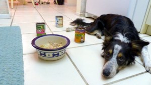 Food made us both so sad. It broke my heart I couldn't feed my puppy.