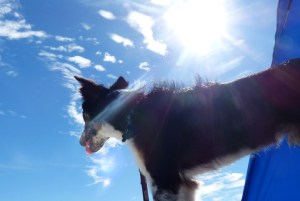 We were waiting all day!