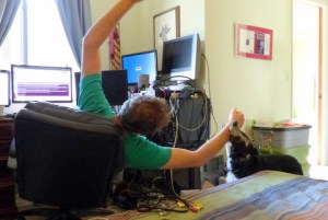 Mick was a new dog. He'd try to drag Alby out of his home office to play.