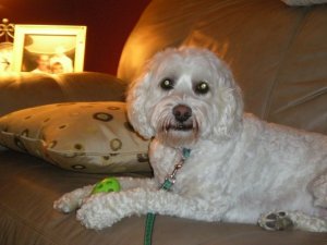 "I wondered if he was resource-guarding me."