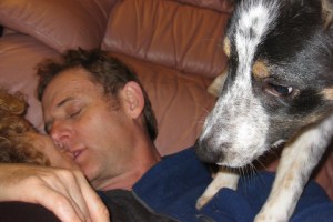 Love in the Time of Collies