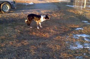 Will Wyn be the Winner?