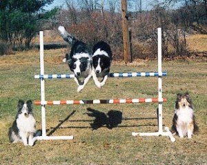 Toss & Robin; Kelly & Teddie - 1998