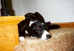 I'll always pine away for Pip.