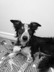 In the hospital. We were so scared!