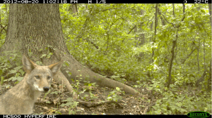 screen-shot-2016-10-05-at-12-38-19-pm